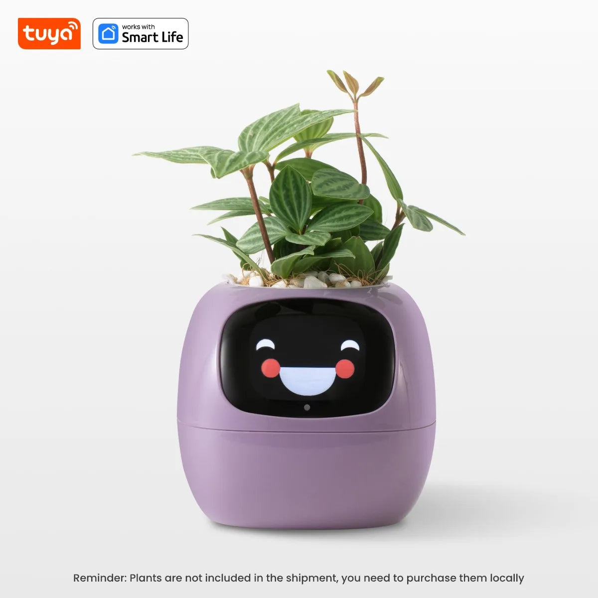 Jardinière intelligente connectée Ivy